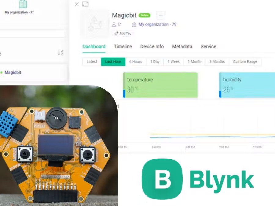 magicbit with blynk